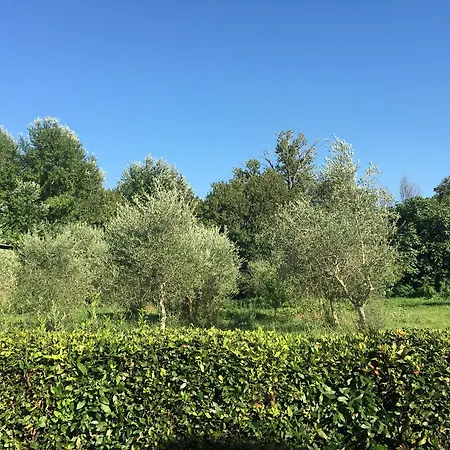アパート La Casa Di Ugo By Relais Centrostorico
